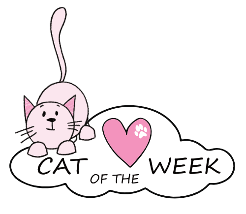 Cat of the Week