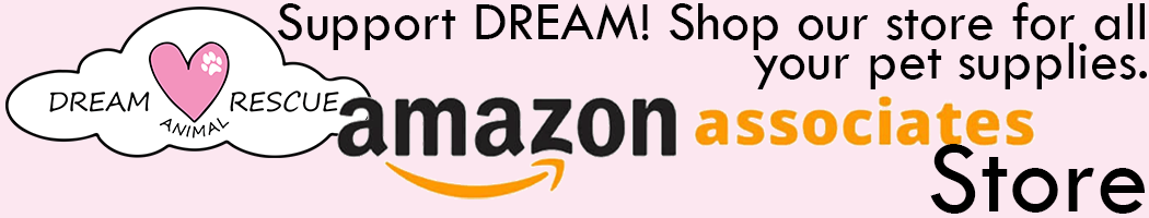 Amazon Store